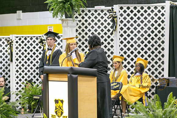 AHS_2015-1771