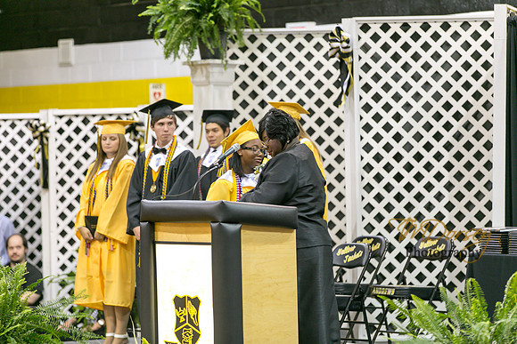 AHS_2015-1774