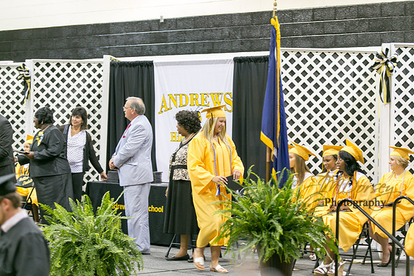 AHS_2015-1787