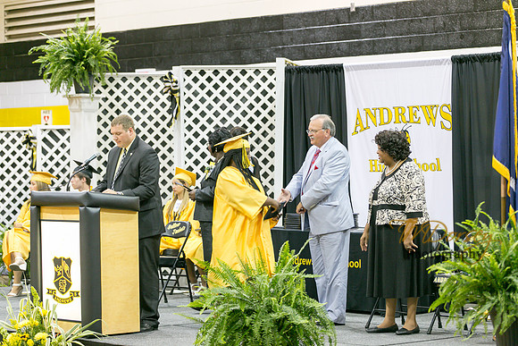 AHS_2015-1790