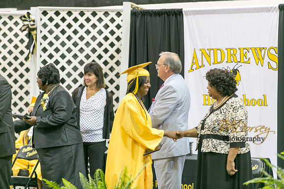 AHS_2015-1805