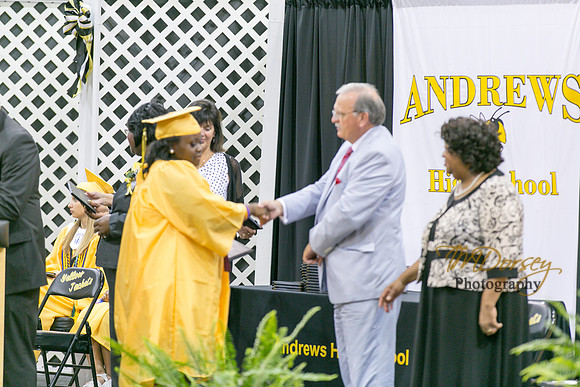 AHS_2015-1806