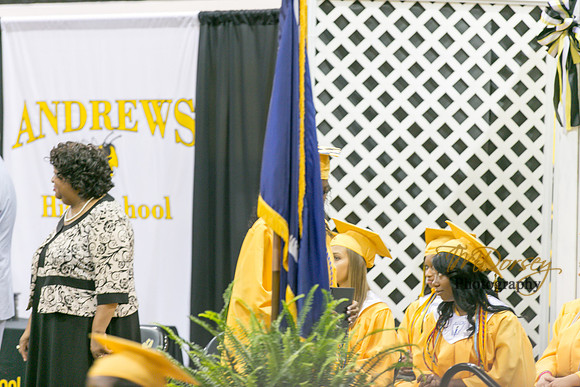 AHS_2015-1811