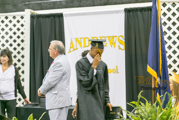 AHS_2015-1823