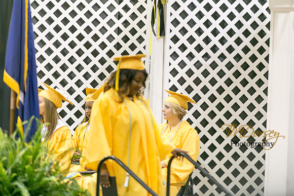AHS_2015-1828
