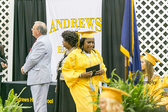 AHS_2015-1860