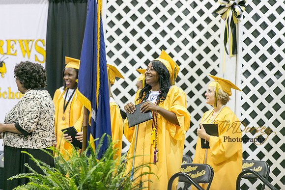 AHS_2015-1894