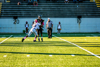 TMD_RVHS_wk6-8931