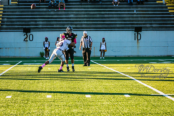 TMD_RVHS_wk6-8931