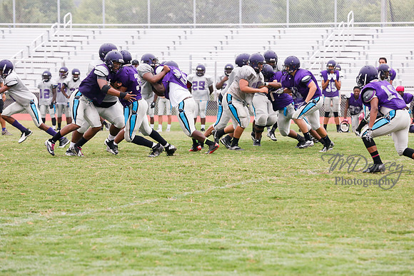 TMD_RVHS_2014-3732