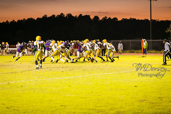 TMD_RVHS_wk8-3393