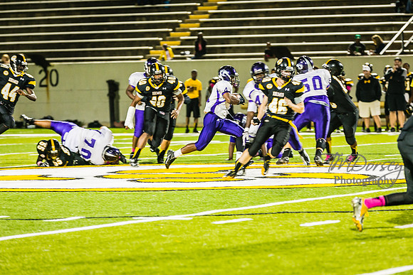 TMD_RVHS_wk6-9562