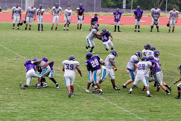 TMD_RVHS_2014-3774