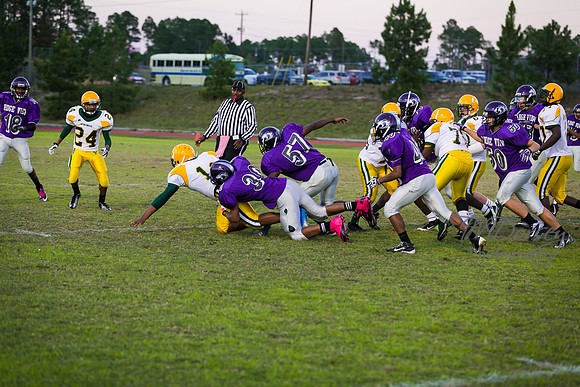 TMD_RVHS_wk8-3275