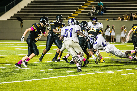TMD_RVHS_wk6-9501