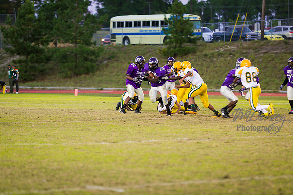 TMD_RVHS_wk8-3304
