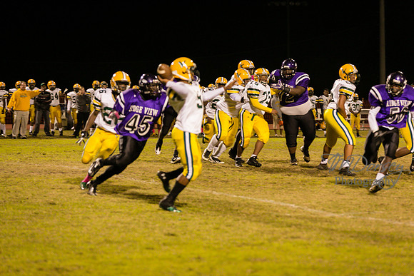 TMD_RVHS_wk8-3739