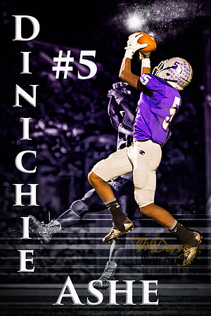 RVHS_2015-1000