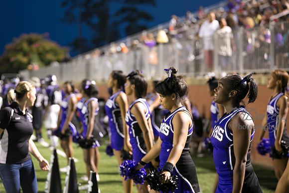 TMD_RVHS_wk1-7766