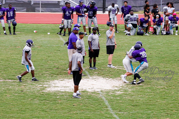 TMD_RVHS_2014-3783