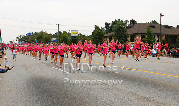 OkraStrut_2012-0760