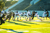 TMD_RVHS_wk6-8896