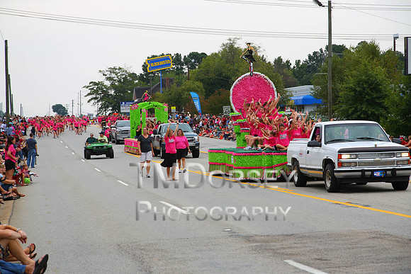 OkraStrut_2012-0756