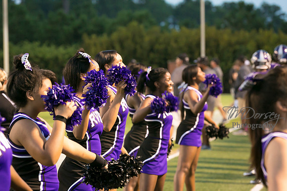 TMD_RVHS_wk1-7699
