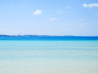 Bermuda 045