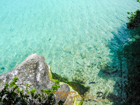 20080408_00197