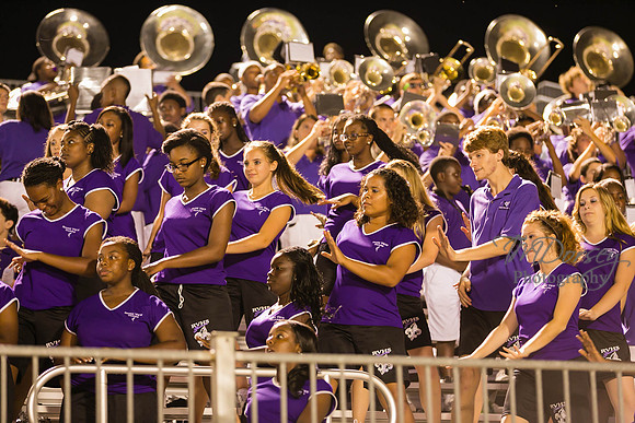 TMD_RVHS_wk1-8162