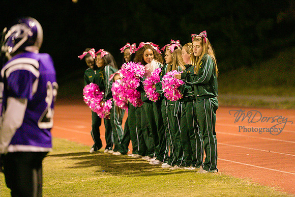 TMD_RVHS_wk8-3753