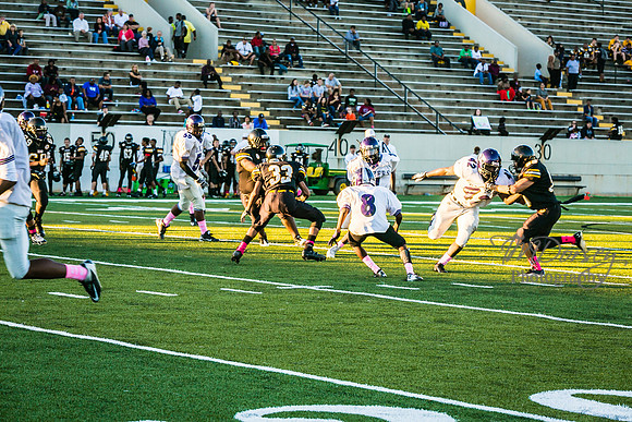 TMD_RVHS_wk6-9021