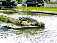 Jamaica04-0187