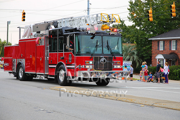 OkraStrut_2012-0674