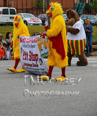 OkraStrut_2012-0707