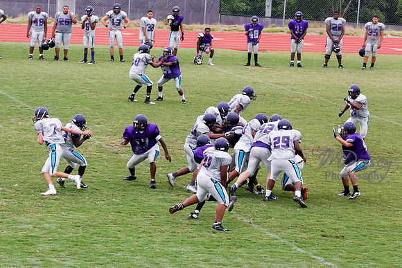 TMD_RVHS_2014-3771