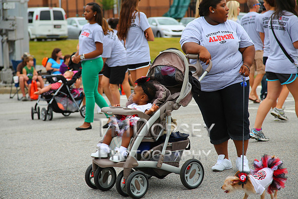 OkraStrut_2012-0709