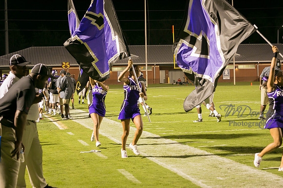 TMD_RVHS_wk1-8055