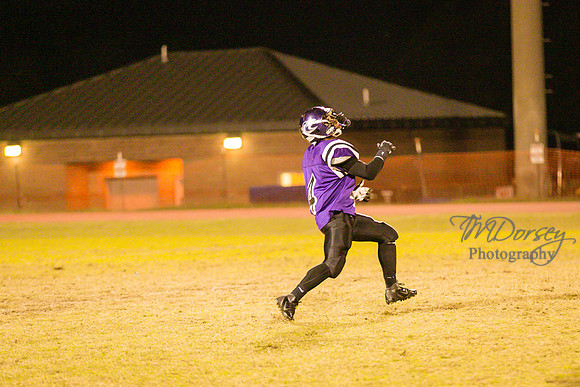 TMD_RVHS_wk8-3869