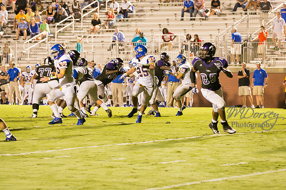 TMD_RVHS_wk1-8043