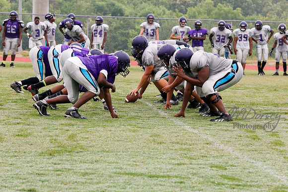 TMD_RVHS_2014-3601