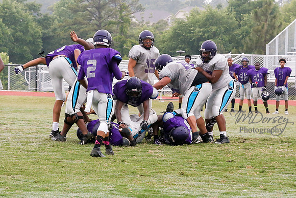 TMD_RVHS_2014-3648