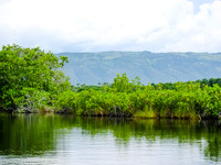Jamaica04-0154
