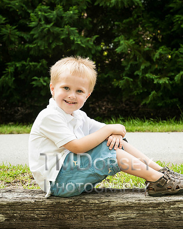 TMD_Hewetts_2013--2