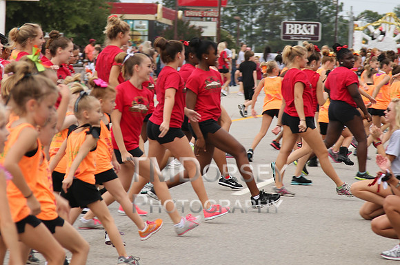 OkraStrut_2012-0746