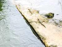 Jamaica04-0190