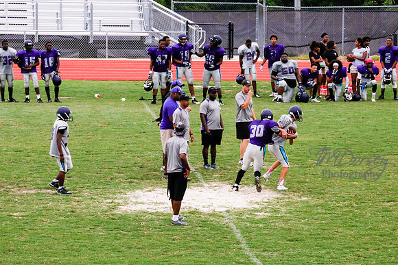 TMD_RVHS_2014-3784