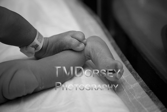 untitled shoot2013-3824