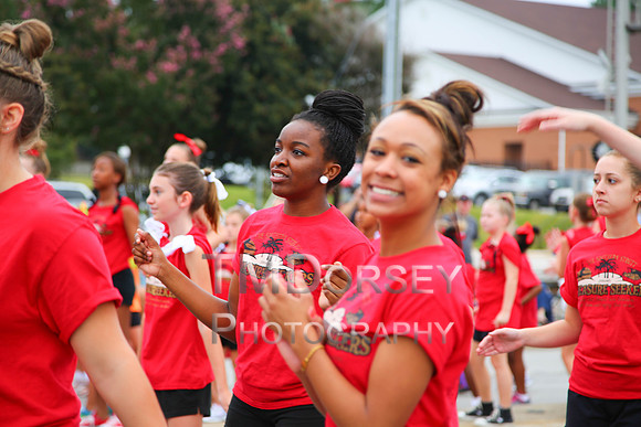 OkraStrut_2012-0715